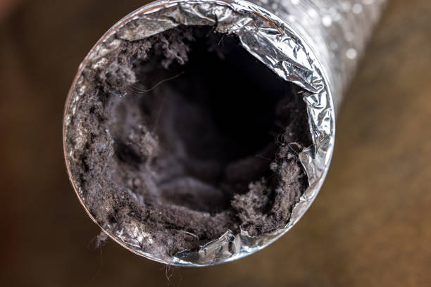 Best HVAC Air Duct Cleaning  in Upland, CA